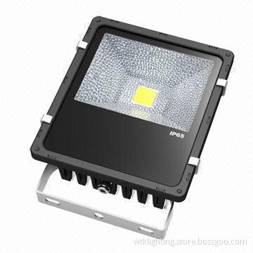 50W COB LED Floodlight, IP65